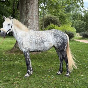 Ip-hop de GIVRY