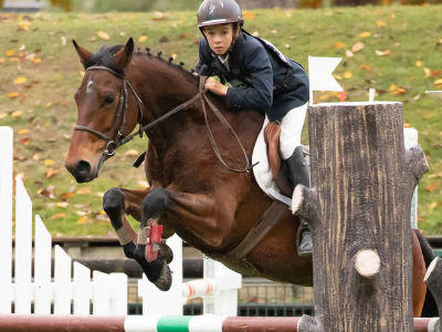 cavalerie chevaux saut